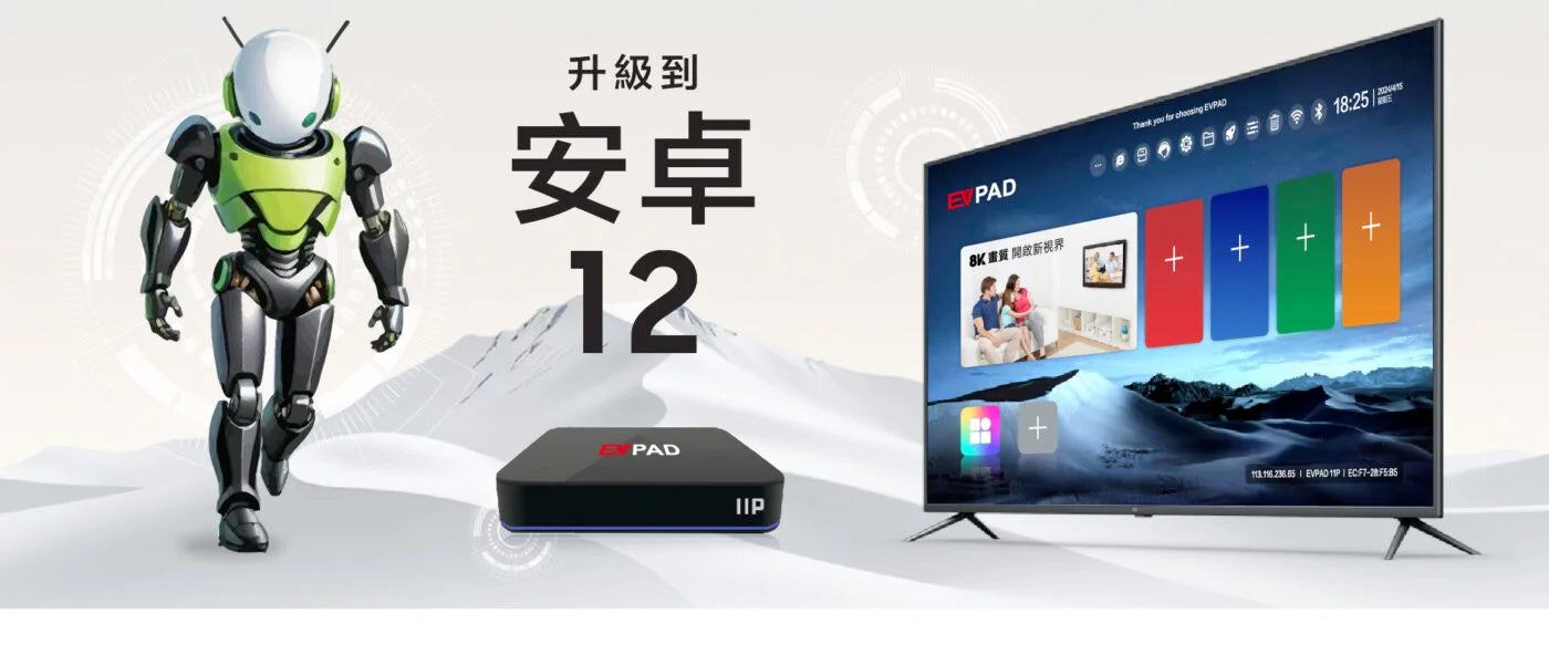 EVPad 11P (DISCONTINUED)