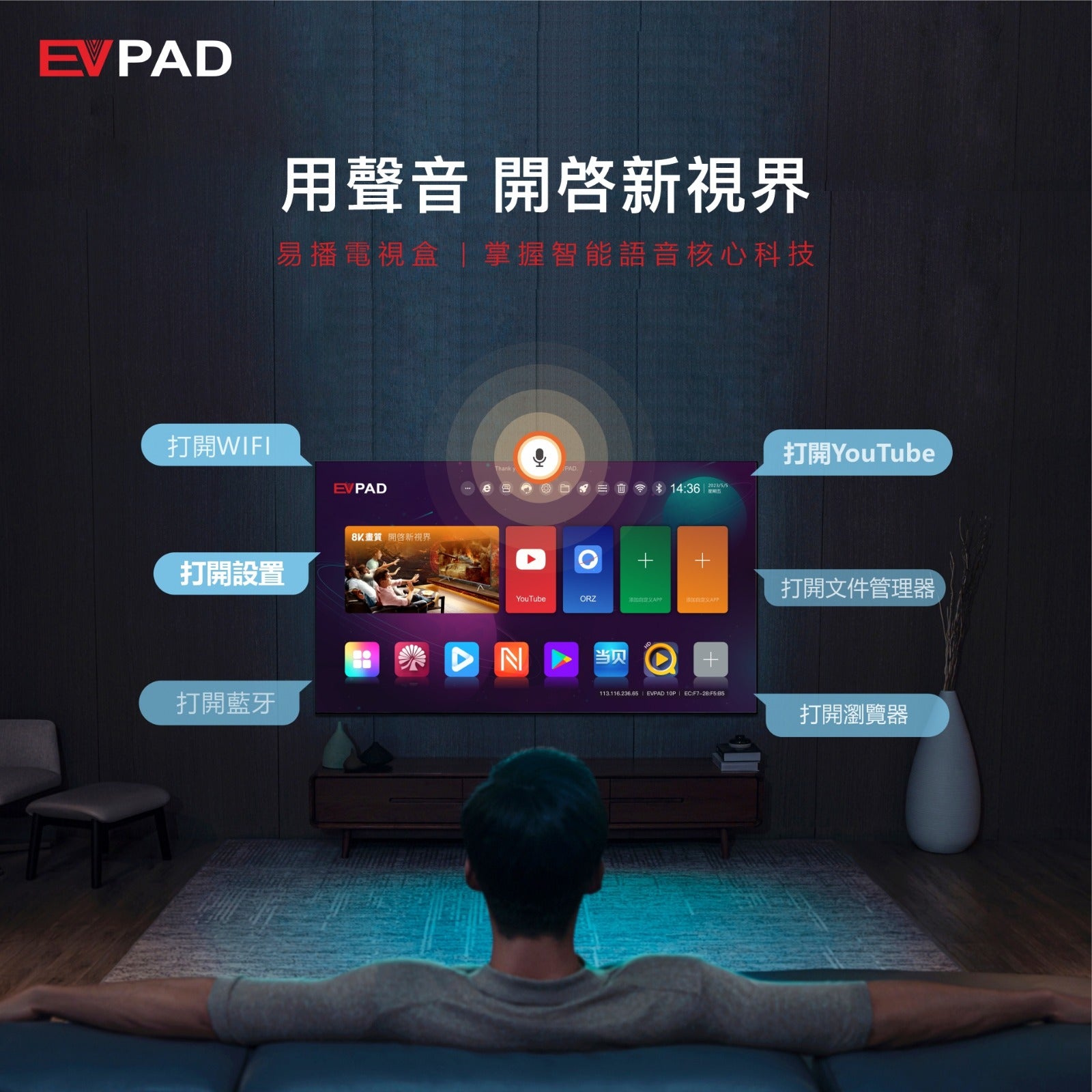 EVPad 10P (DISCONTINUED)